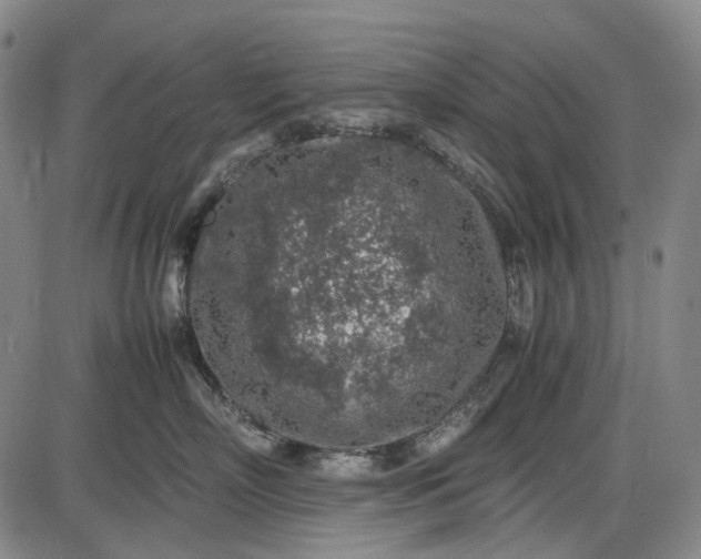 X0000085830718200703301619