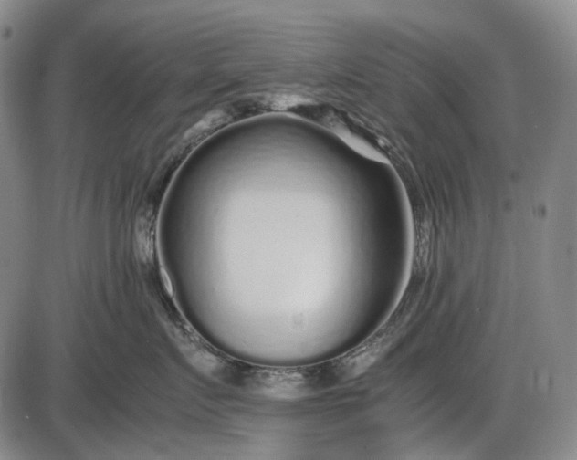 X0000085830719200703301619