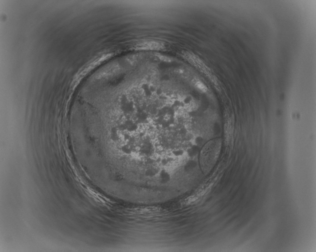 X0000085830721200703301618