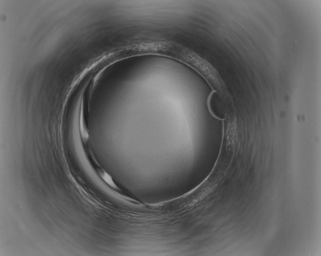 X0000085830722200703301618