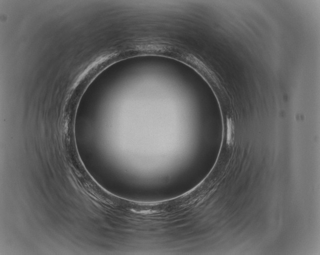 X0000085830723200703301618