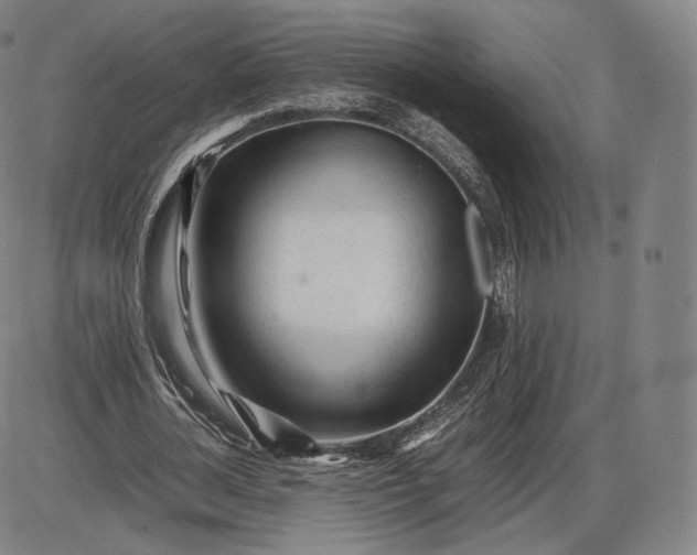 X0000085830724200703301618