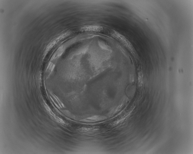 X0000085830725200703301618