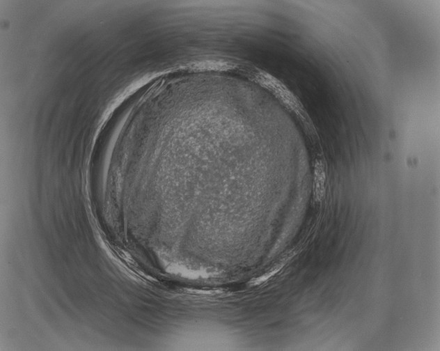 X0000085830726200703301618