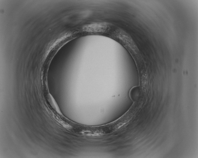 X0000085830727200703301618