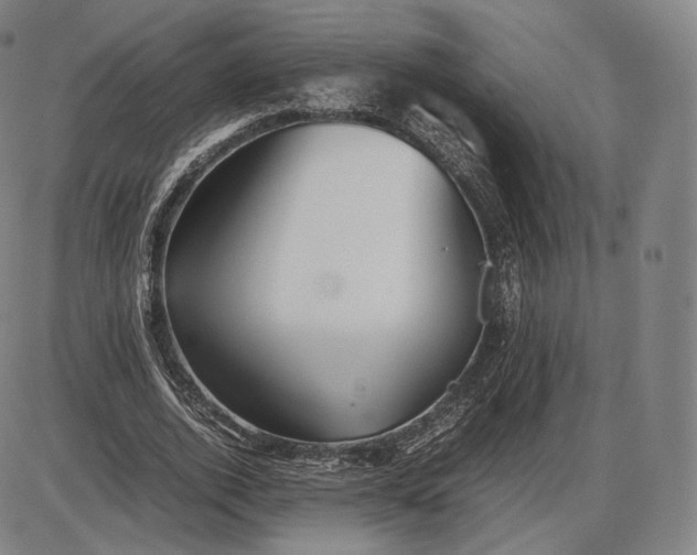 X0000085830728200703301618