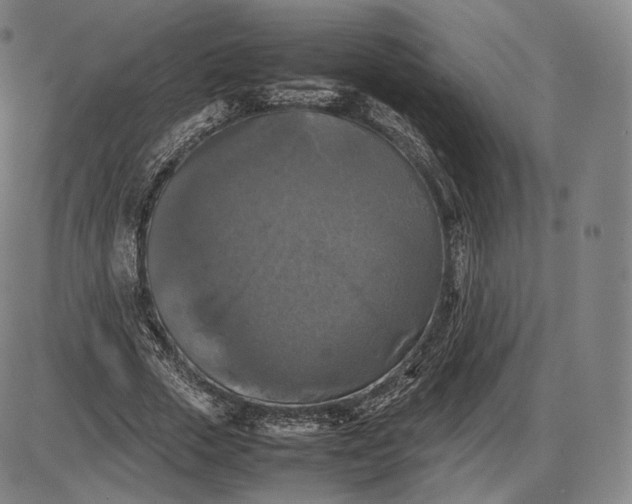 X0000085830729200703301618