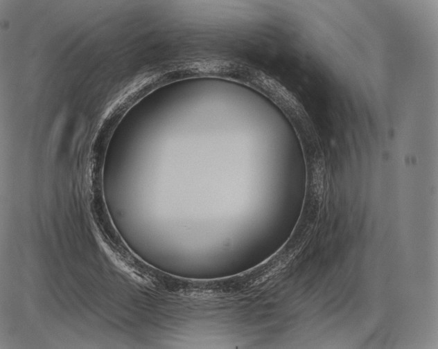 X0000085830730200703301618