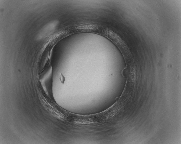 X0000085830731200703301618