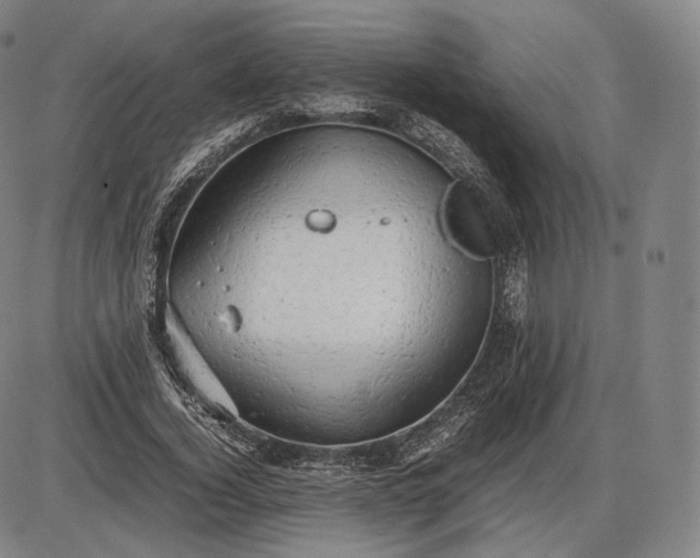 X0000085830732200703301618