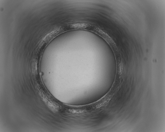 X0000085830733200703301618