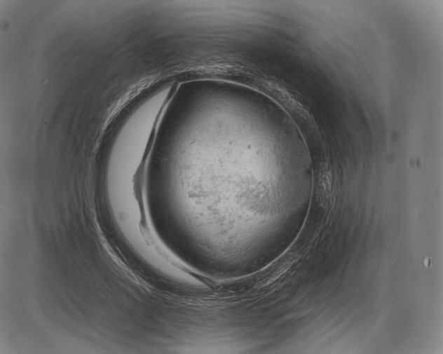 X0000085830734200703301618