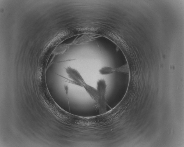 X0000085830735200703301618