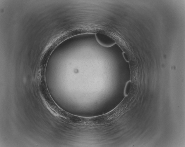 X0000085830736200703301618