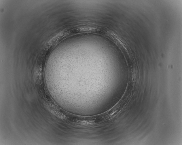 X0000085830737200703301618