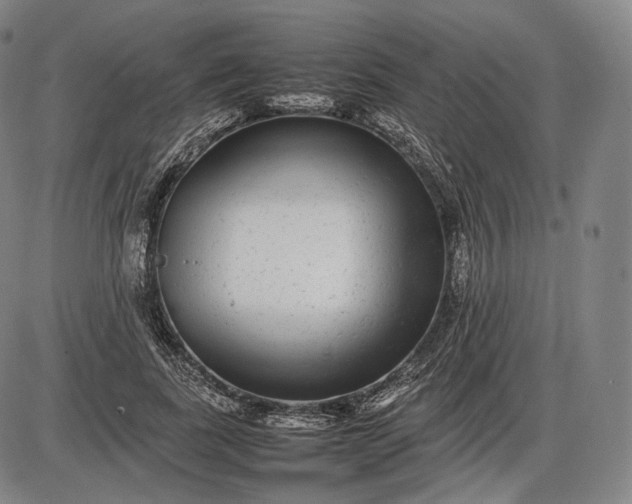 X0000085830739200703301619