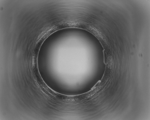 X0000085830740200703301619