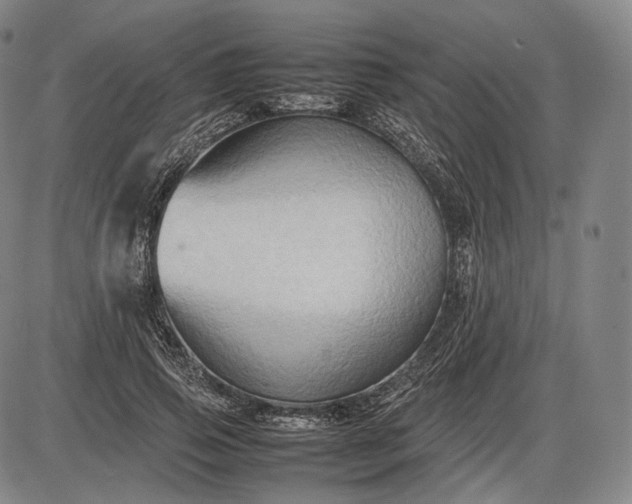 X0000085830741200703301619