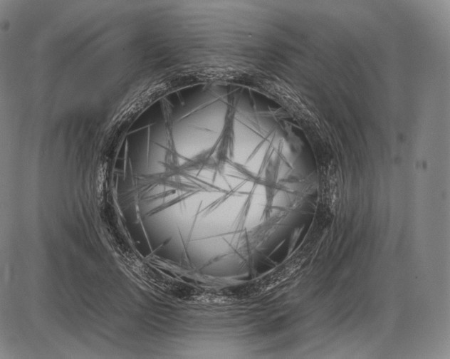 X0000085830742200703301619