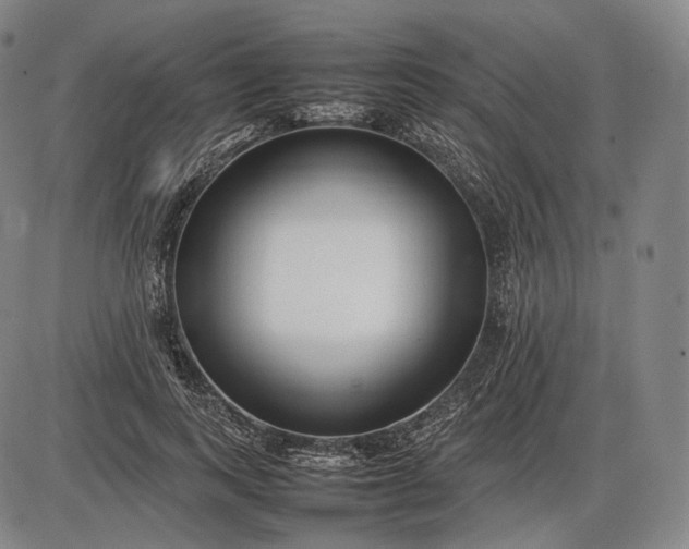 X0000085830743200703301619