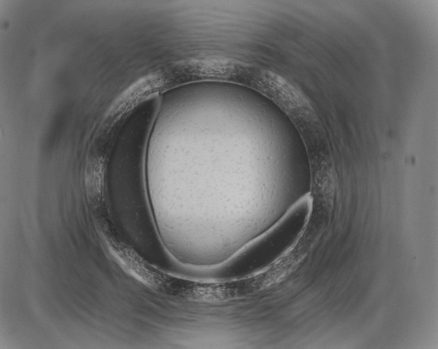 X0000085830744200703301619