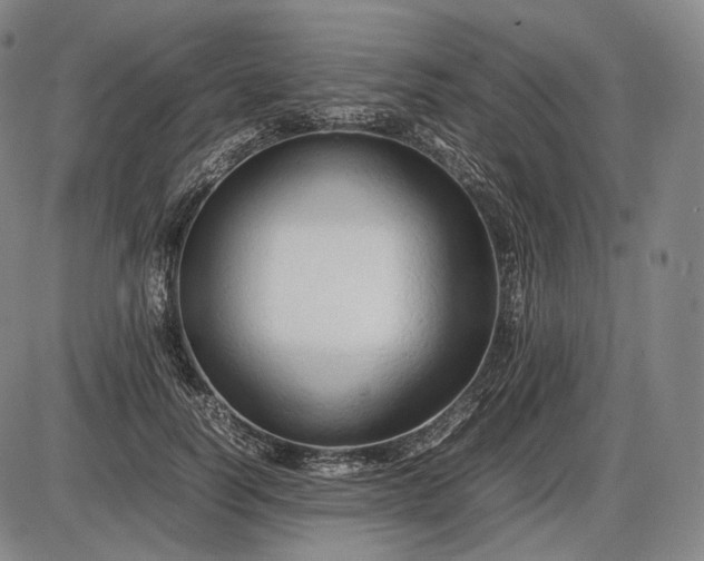 X0000085830746200703301619