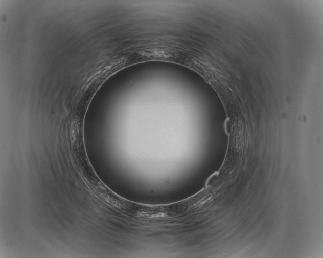 X0000085830747200703301619