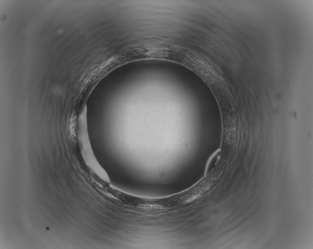 X0000085830748200703301619