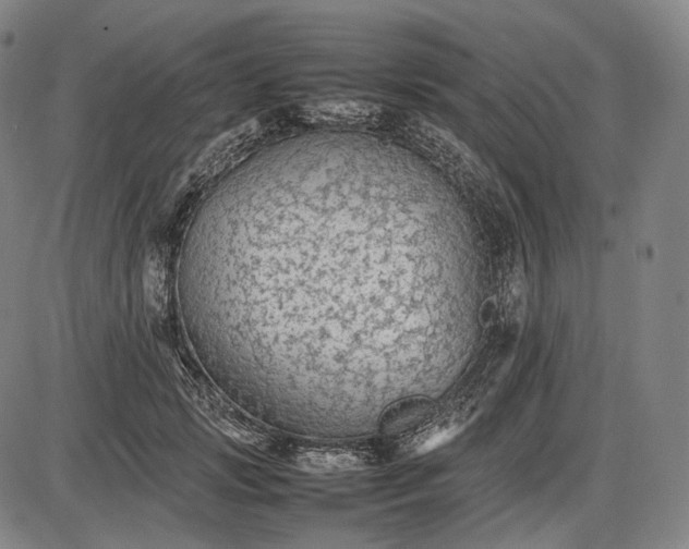 X0000085830749200703301619