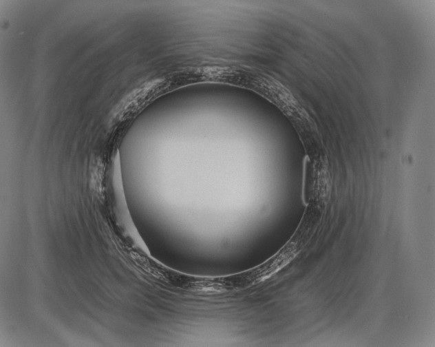 X0000085830750200703301619