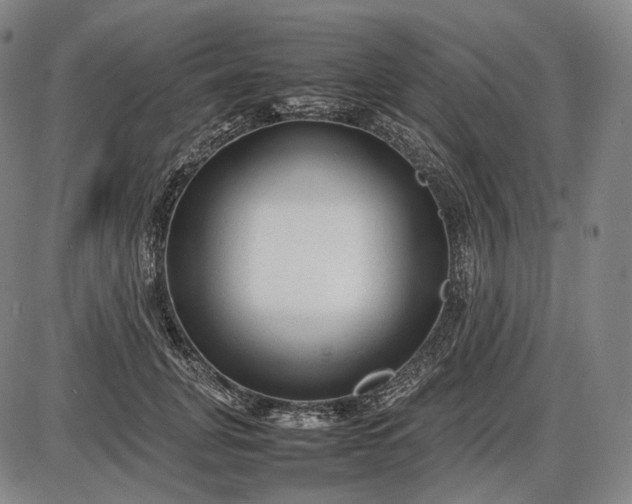 X0000085830751200703301619