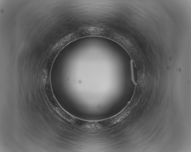 X0000085830752200703301619