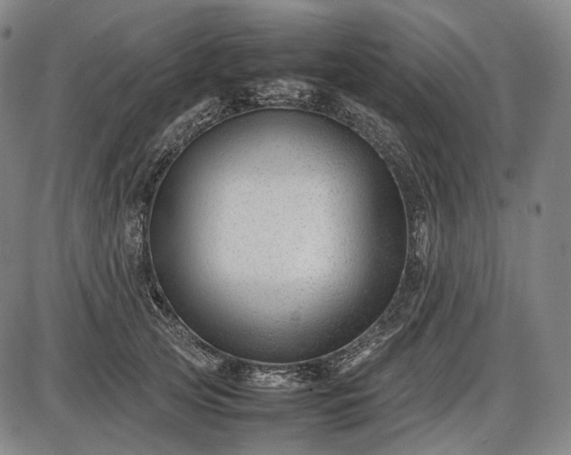 X0000085830753200703301619