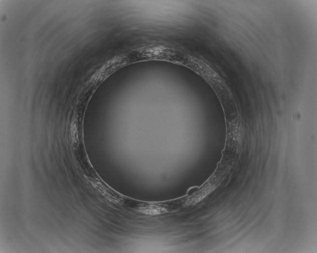 X0000085830754200703301619