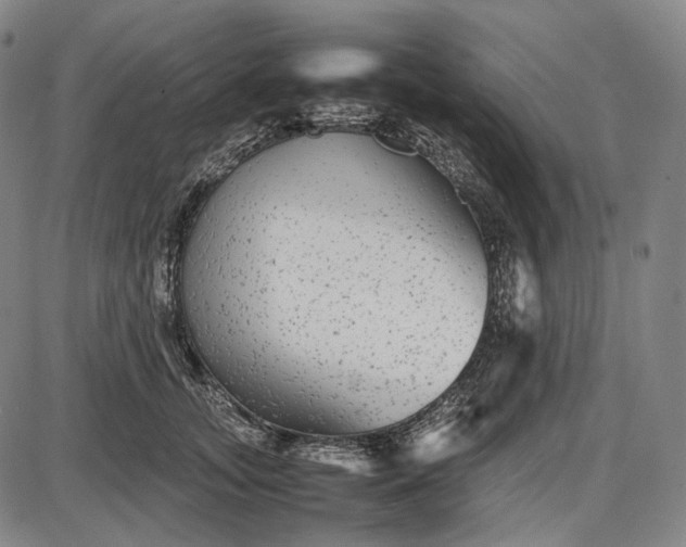 X0000085830755200703301619