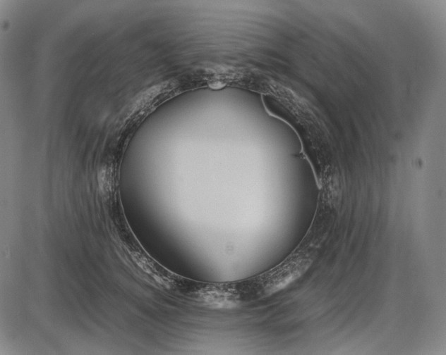 X0000085830756200703301619