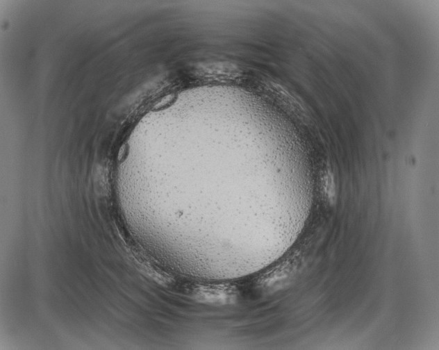 X0000085830757200703301619