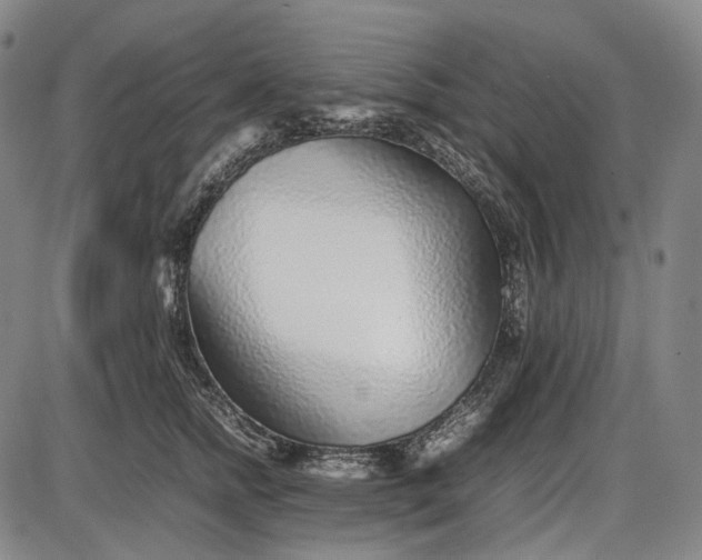 X0000085830758200703301619