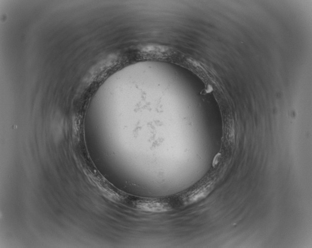 X0000085830759200703301619