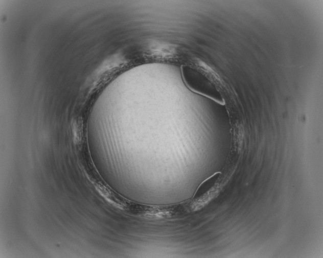 X0000085830760200703301619