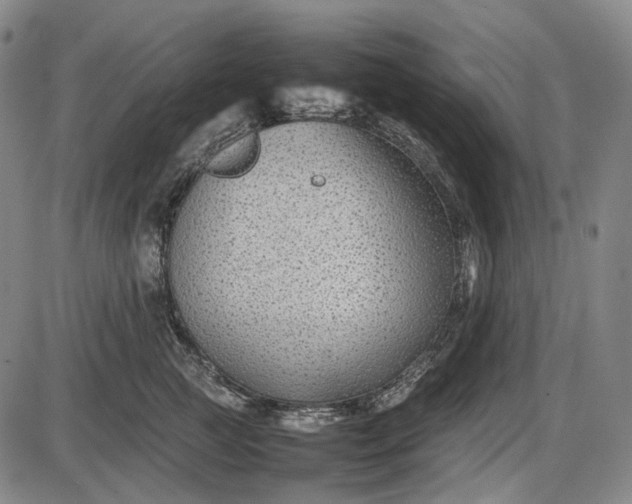 X0000085830761200703301619