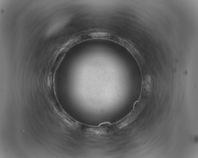 X0000085830763200703301619