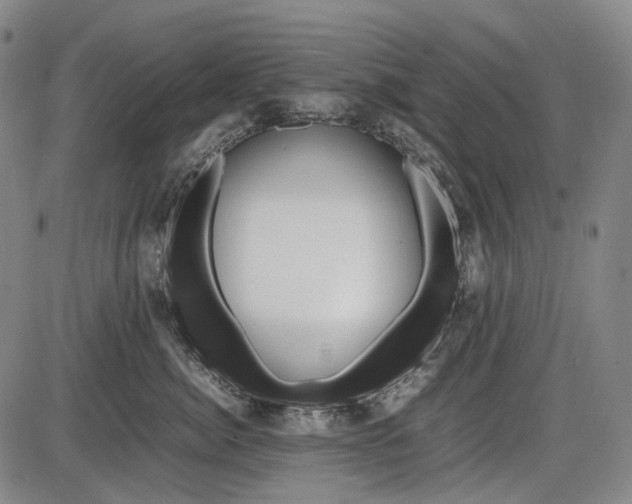 X0000085830764200703301619