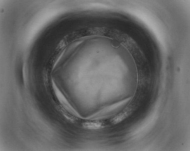 X0000085830765200703301619