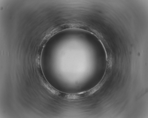 X0000085830766200703301619