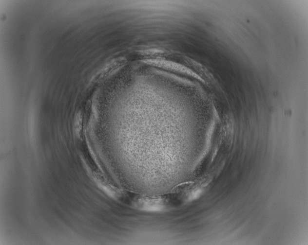 X0000085830767200703301619