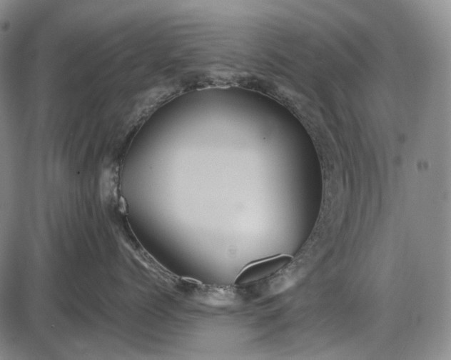 X0000085830768200703301619