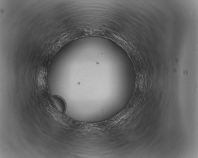 X0000085830770200703301618