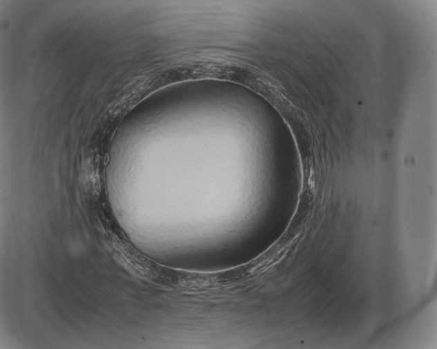 X0000085830771200703301618