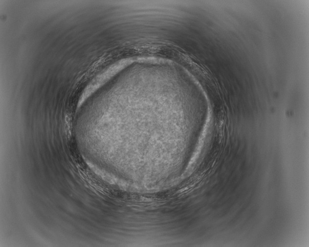 X0000085830772200703301618